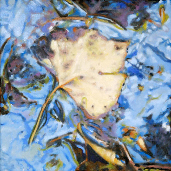 Cottonwood Leaf